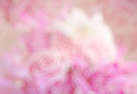 blur background floral variety in pink toneの写真素材