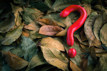 question mark in a pile of leaves backgroundの写真素材