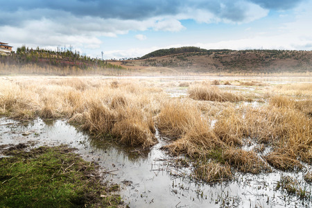 The picturesque view of Lake and dry grass chinaの写真素材