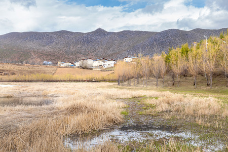 The picturesque view of Lake and dry grass china
