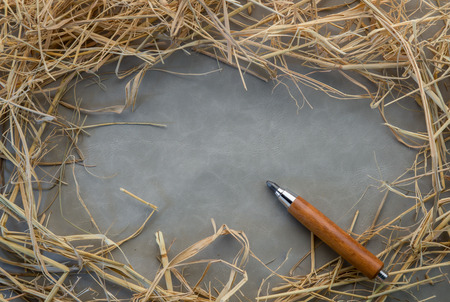 Pencil lying on blank piece of cloth and dry hay in morning light. Creative work, writing, drawing etc. Vintage natural moodの写真素材