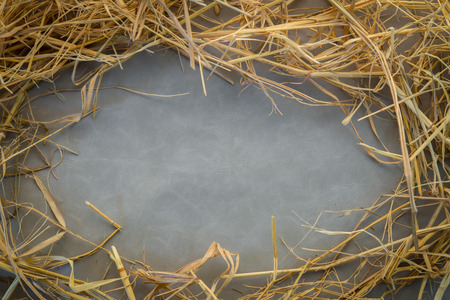 dry hay on grey background with copy-spaceの写真素材