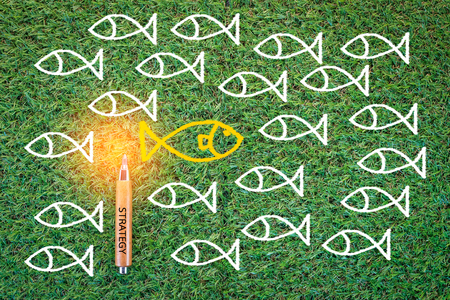 drawing of fish on green grass texture background business concept.jpgの写真素材