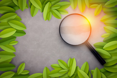 magnify glass with leaf frame on grey background green environment conceptの写真素材