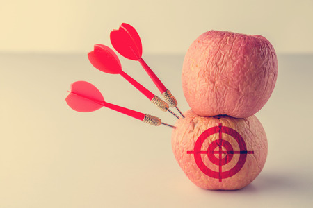 Working with clear goals and looking in the same direction will be successful in business, of course. arrow Hitting the apple. success conceptの写真素材