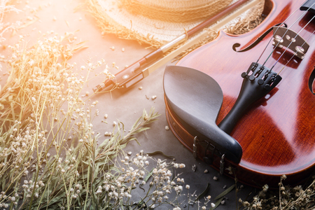 violin on grey background with free copyspace for your ideas textsの写真素材
