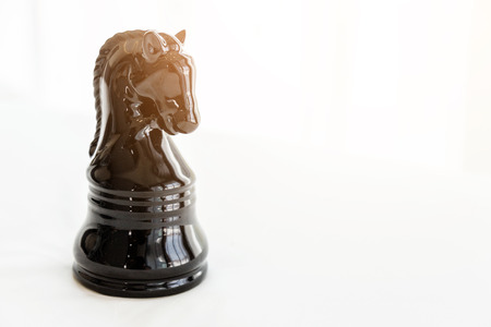 black shiny horse chess with white backgroundの写真素材