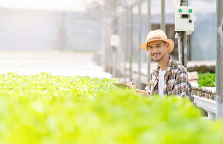 smart asian male owner small business green house hydroponic vetgetable farm   holding a plant crate for salad in farmの写真素材