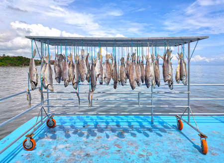 Dry salted fish hanging below the rack. Preservation of food. Sea scenery background.の写真素材