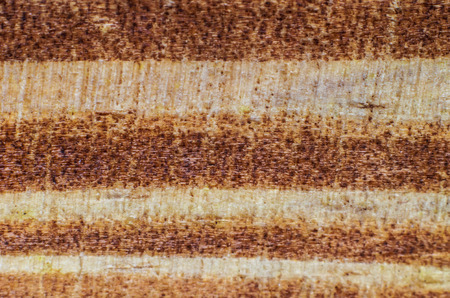 wood textureの写真素材