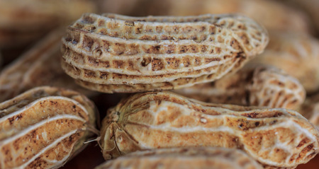 CloseUp of boil peanut on wood backgroundの写真素材