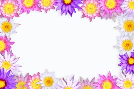 multi color of lotus for picture frame background.の写真素材
