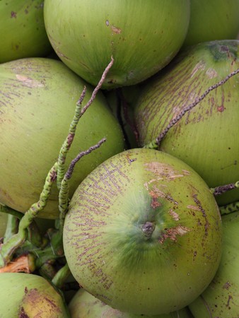 fresh young coconut in thailand market .の写真素材