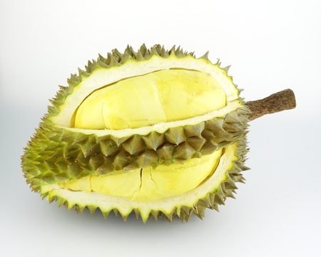 Durian fruit on white background, Durian is king of tropical fruit の写真素材