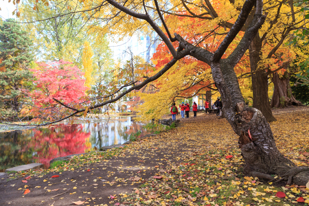 SAPPORO, JAPAN - OCTOBER 26TH, 2017. Tourists enjoying the autumn colors of trees at park near the former Hokkaido government office, Sapporo, Japan.のeditorial素材