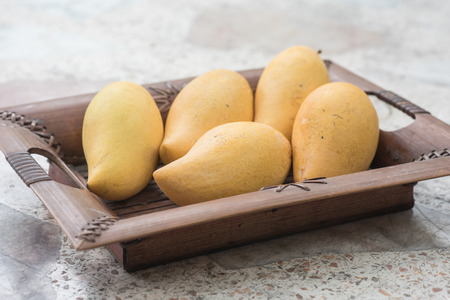 Sweet Mangoes in Summer season of Thailandの写真素材