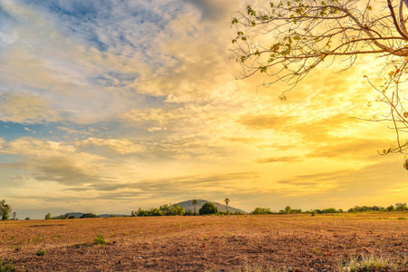 Beautiful skyの写真素材