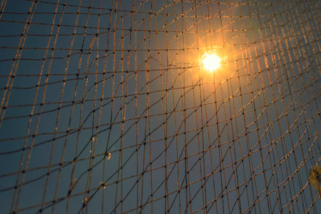 Catch the fish, use it and then hang it, sun, keep it dry.
