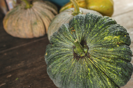 Pumpkin is a broccoli, grown in Thailand.の写真素材