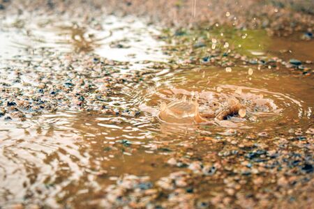 Raindrops falling to the ground