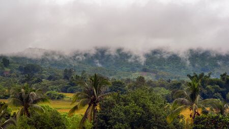 Low clouds floating in the hills on a stormy dayの写真素材