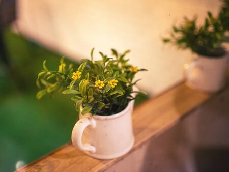 Ornamental flowers in the restaurant, beautiful