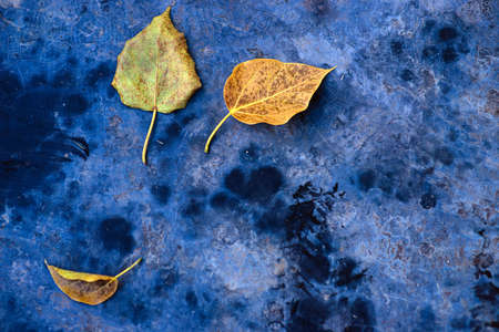 Cement floor with prayer pattern And dry leaves that fall from the tree