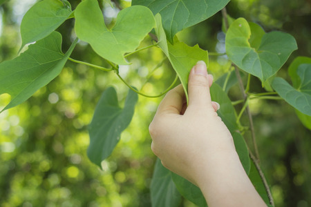 Natural Touchの写真素材