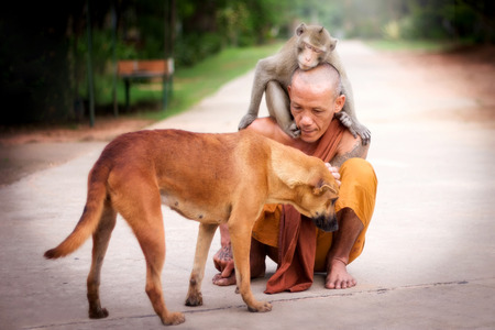 Buddhist monk have compassion for Dog and Monkey.の写真素材