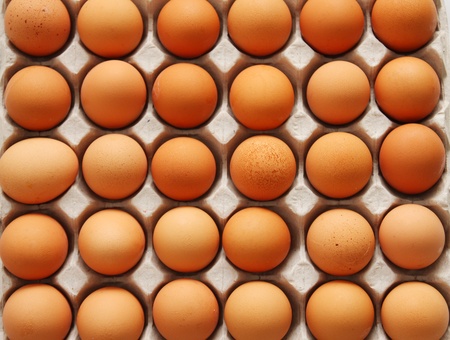 eggs in cardboard container 