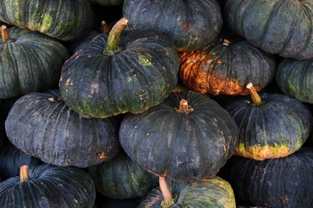 pumpkins