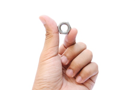 holding a nut. の写真素材