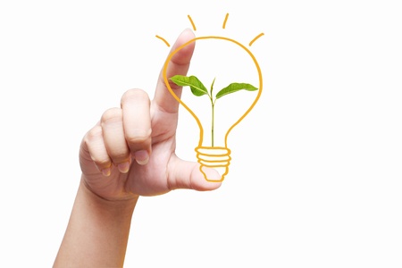 hand holding light bulb. Isolated on white background,young plant in a light bulbの写真素材