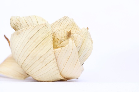 Dry lotus flower