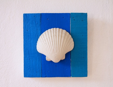Seashell on blue woodの写真素材