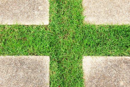 Grass and brick walkways in the park,Grass and brickの写真素材