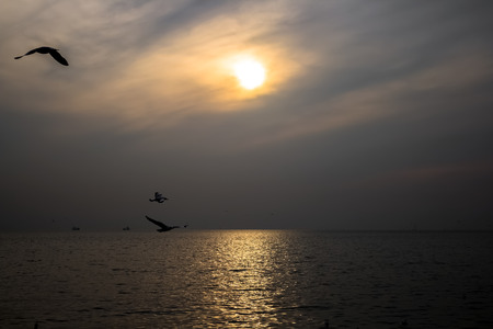 Sea landscapes before sunset.The beauty of nature.の写真素材