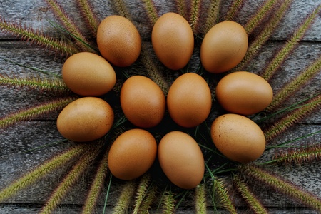 Fresh Rooster Eggs on top view on wood table at Local Farmer Market