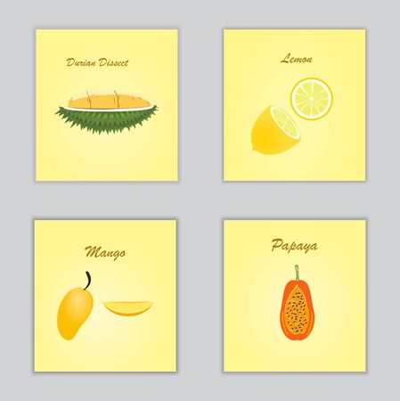 Set of fruit poster yellow design with Vector illustration. Durian lemon papaya and mango.のイラスト素材