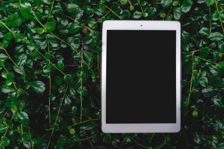 Mockup tablet black screen white body case top view on a green leaf background.の写真素材