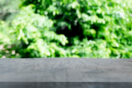 Retro wooden floor empty green tree background. Used for montage or display products show.の写真素材