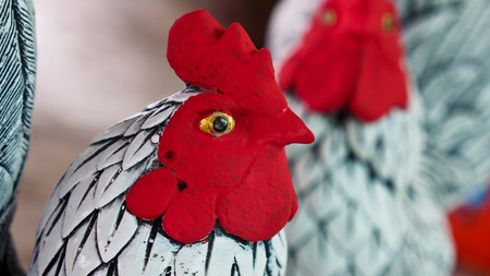 Chicken Doll Face in The Gardenの写真素材