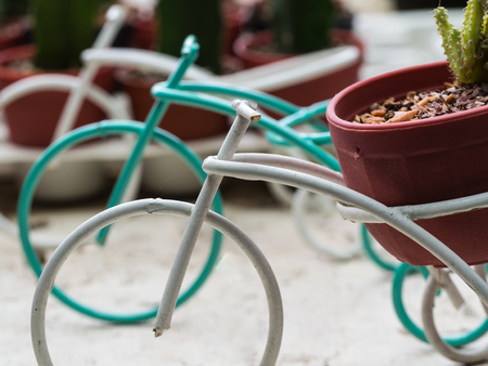 Bicycle Rickshaws with Cactus Flowerpotの写真素材