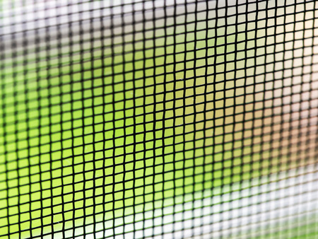 The Mosquito Wire Screen Windowの写真素材