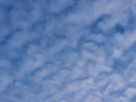 Cloud and Blue  Sky in a Rice Field