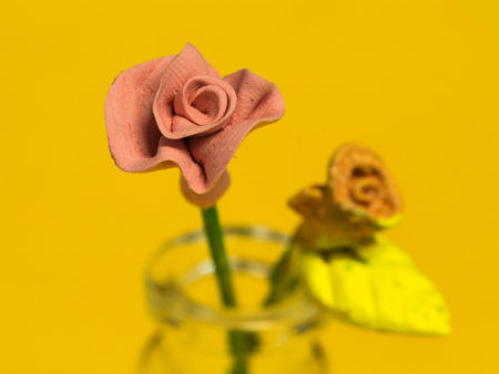 Pink Rose Tiny Toy in The Tiny Bottleの写真素材