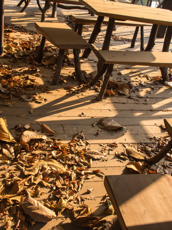 Chair on a Wooden Floor with Leaves in Abandoned Restaurantの写真素材