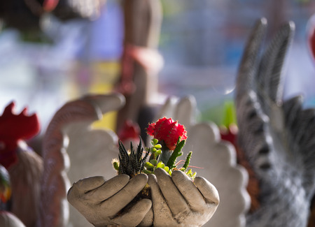 Hands Flower Pot Hold Cactus Plantの写真素材