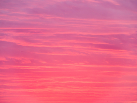 The Clouds is The Pink Fluffy Wave in The Skyの写真素材
