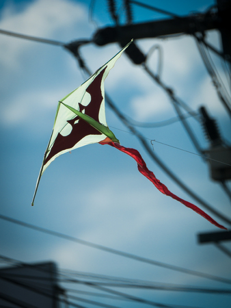 The Bat Kite Flying in The Sky near The High Voltage Poleの写真素材